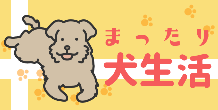 カワイイがいっぱい！ワンダーランド